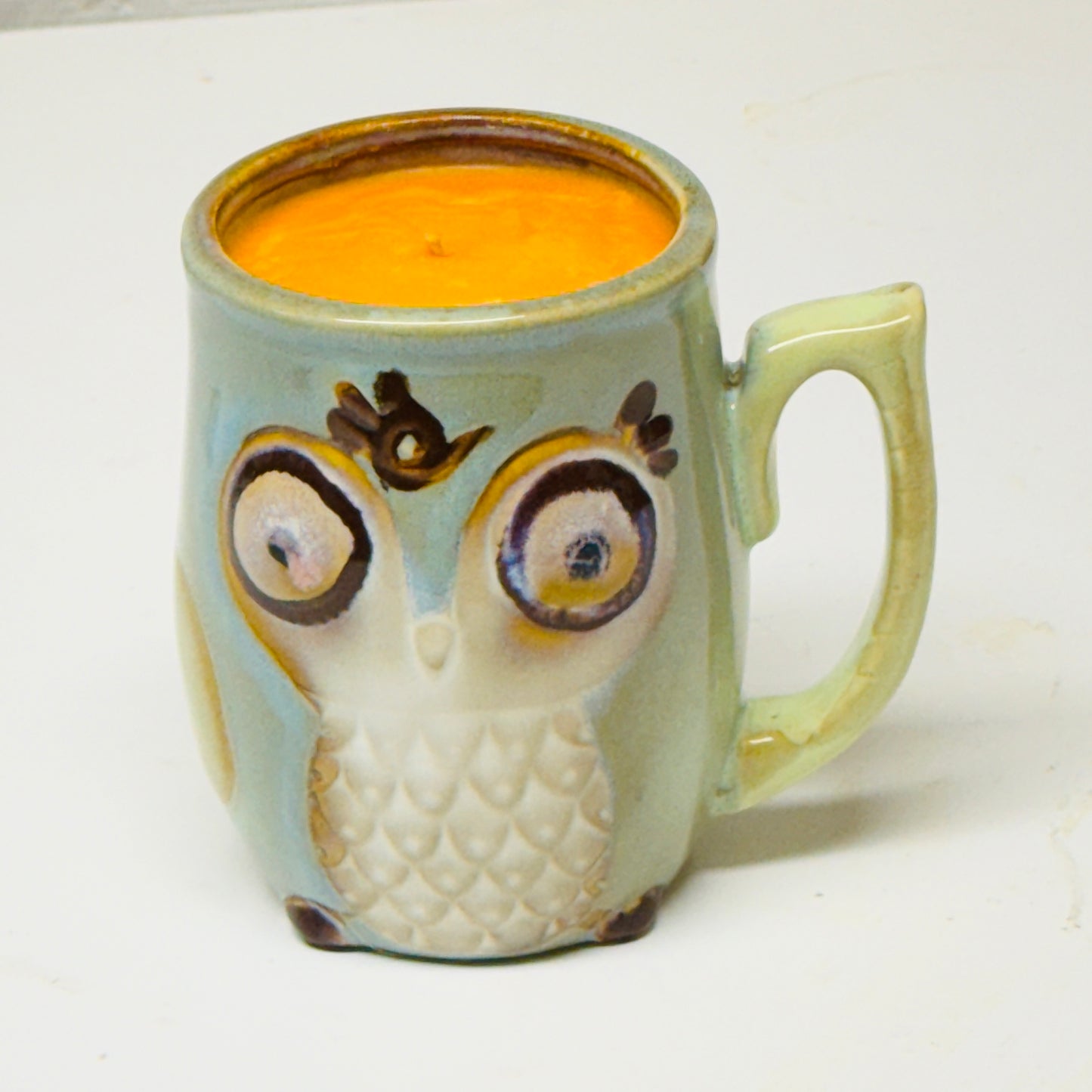Ugly Cute Owl Mug - Will It Candle